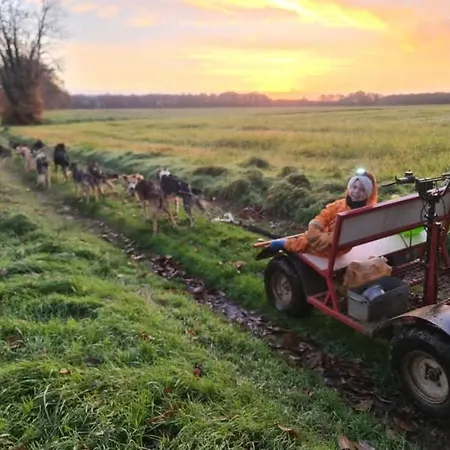 Mezzanine Chez Des Mushers Chassiecq