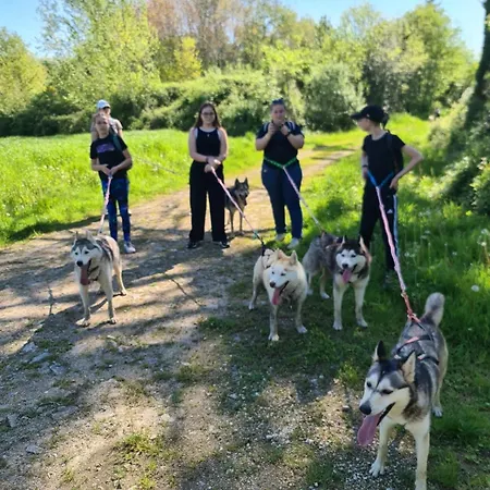 Mezzanine Chez Des Mushers *