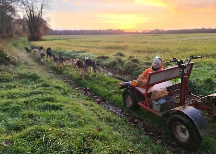 Mezzanine Chez Des Mushers Chassiecq